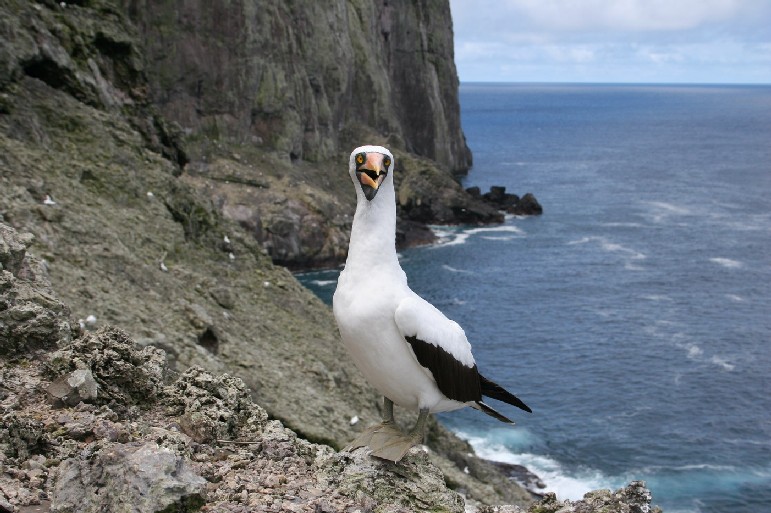 Malpelo Fauna and Flora Sanctuary, Colombia