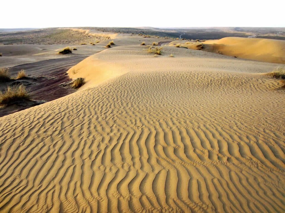 Cold Winter Deserts of Turan, Kazakhstan