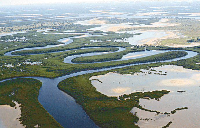 Saloum Delta, Senegal