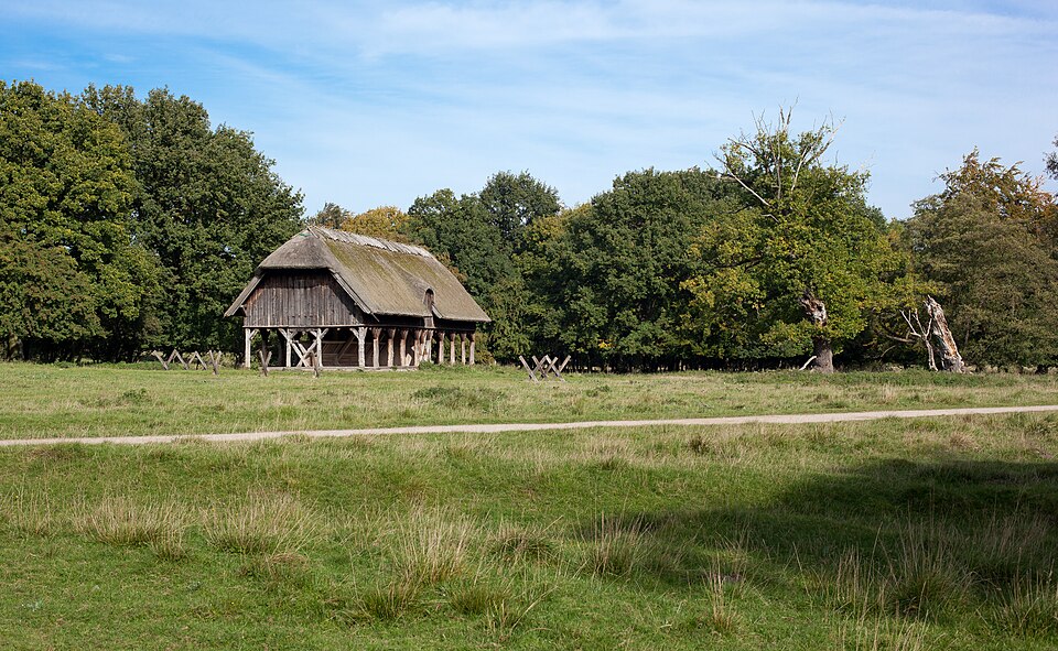Par force hunting landscape in North Zealand, Denmark