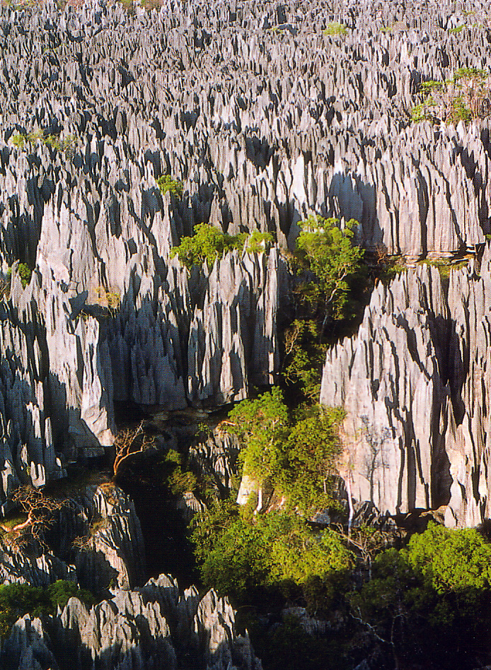 Tsingy de Bemaraha Strict Nature Reserve, Madagascar