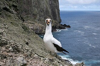 Malpelo Fauna and Flora Sanctuary, Colombia