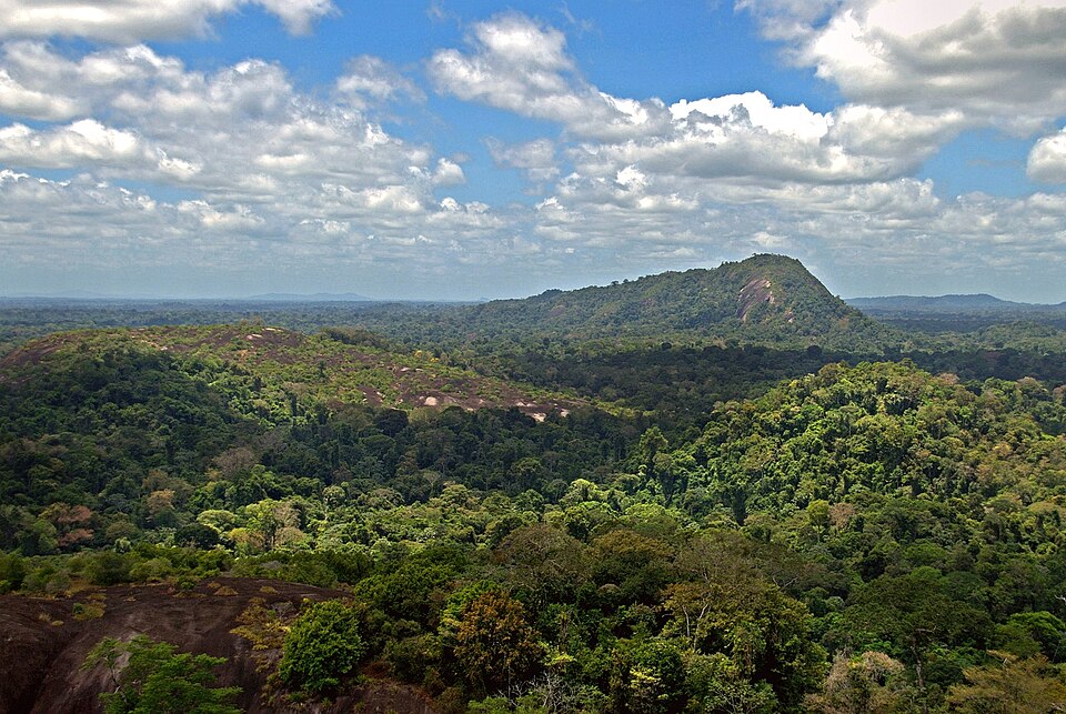 Central Suriname Nature Reserve, Suriname