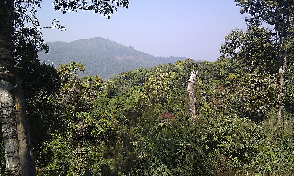 Kaeng Krachan Forest Complex, Thailand