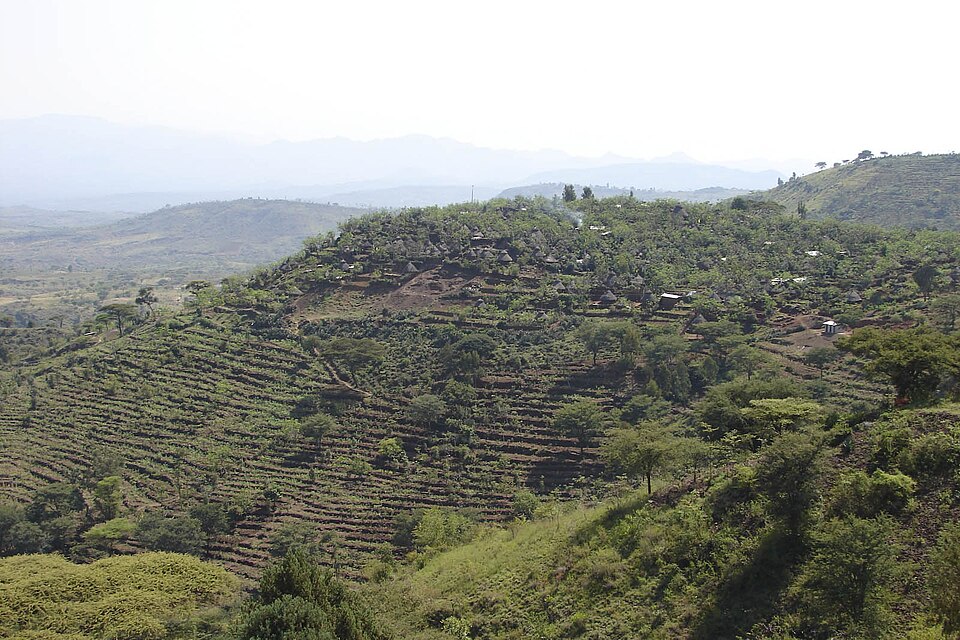 Konso Cultural Landscape, Ethiopia