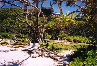 Henderson Island, United Kingdom