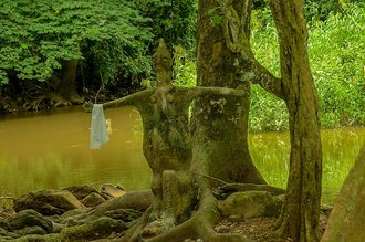 Osun-Osogbo Grove, Nigeria