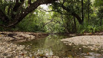 Ujung Kulon National Park, Indonesia