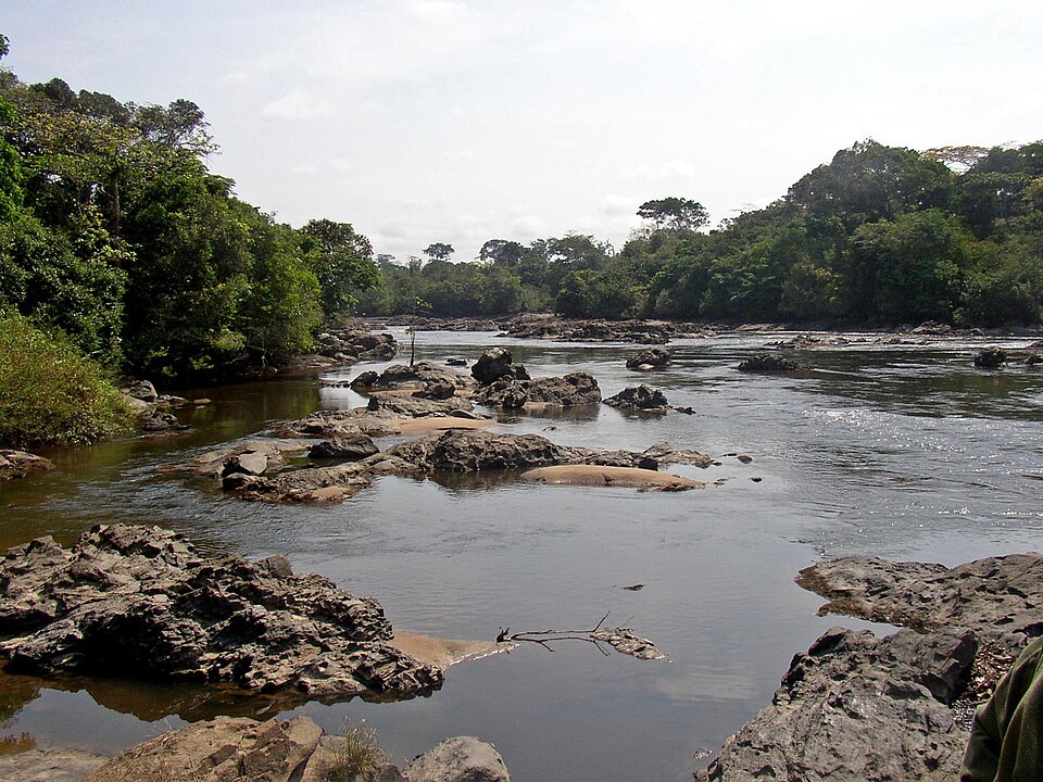 Okapi Wildlife Reserve, Democratic Republic of the Congo