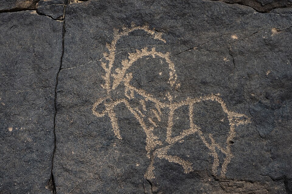 Bir Hima Rock Petroglyphs and Inscriptions, Saudi Arabia