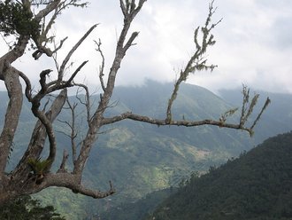 Blue and John Crow Mountains, Jamaica