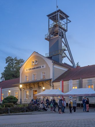 Wieliczka and Bochnia Royal Salt Mines, Poland