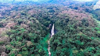 Kahuzi-Biéga National Park, Democratic Republic of the Congo