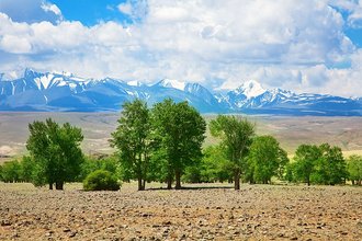 Golden Mountains of Altai, Russia