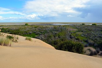 Doñana National Park, Spain