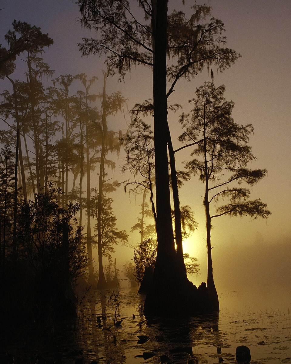 Okefenokee National Wildlife Refuge, United States