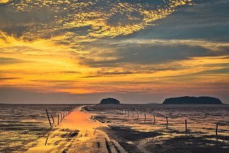 Getbol, Korean Tidal Flats, South Korea