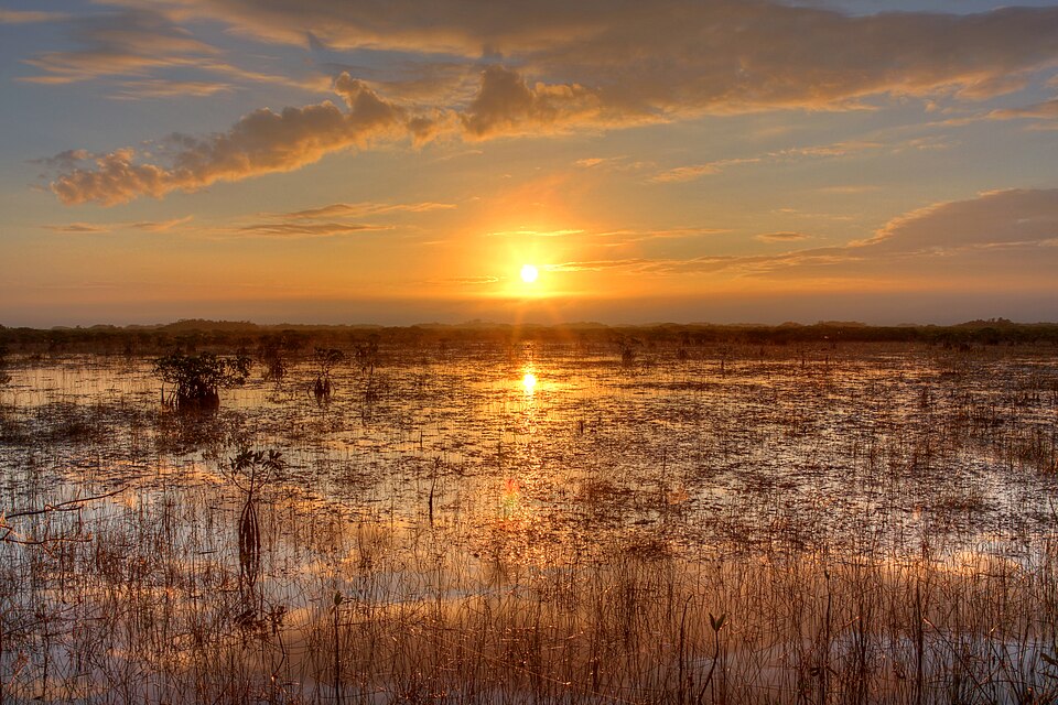Everglades National Park, United States