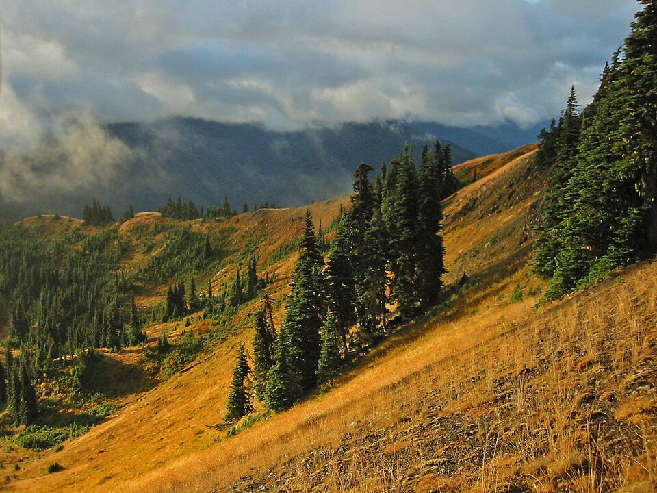 Olympic National Park, United States