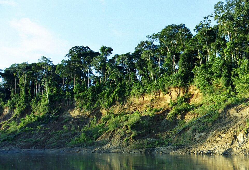 Manu National Park, Peru