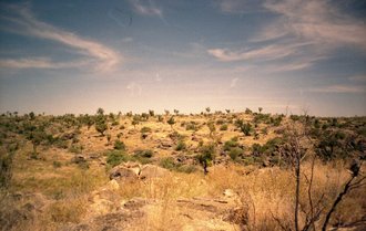Australian Fossil Mammal Sites (Riversleigh / Naracoorte), Australia