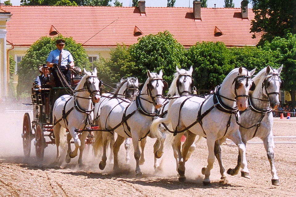 Landscape for Breeding and Training of Ceremonial Carriage Horses at Kladruby nad Labem, Czechia