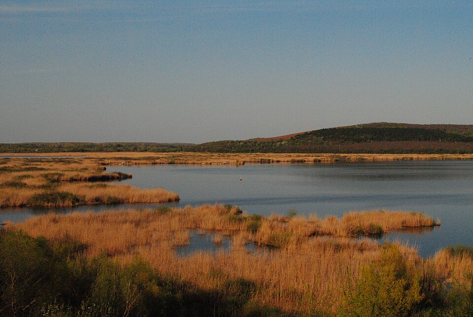 Srebarna Nature Reserve, Bulgaria